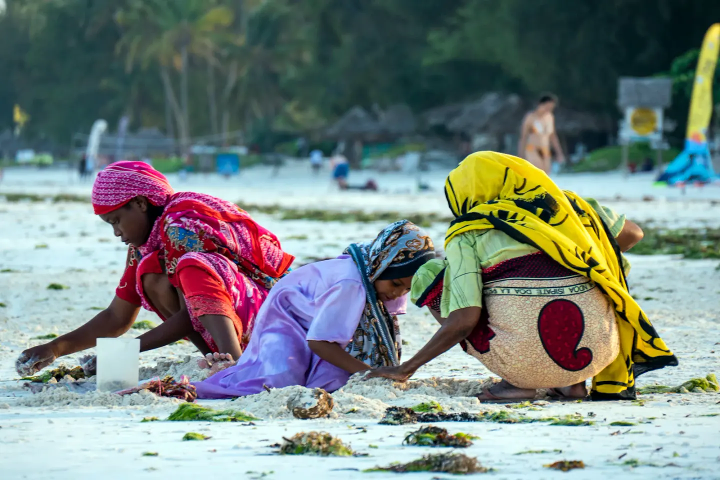 Nungwi vs Paje: Which Beach Should You Choose?
